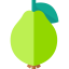 Guava icon 64x64
