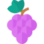 Grapes icon 64x64