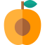 Apricot icon 64x64