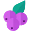 Blueberry icon 64x64