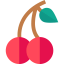 Cherry icon 64x64