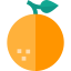 Orange icon 64x64