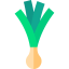 Leek icon 64x64