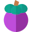Mangosteen icon 64x64