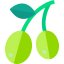 Olive icon 64x64