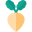 Turnip Ikona 64x64