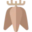 Tuber icon 64x64