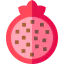 Pomegranate icon 64x64