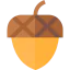 Acorn icon 64x64
