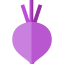 Beet icon 64x64