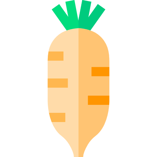 Radish icon