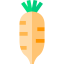 Radish icon 64x64