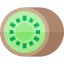 Kiwi icon 64x64
