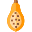 Papaya icon 64x64