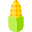 Corn icon 64x64
