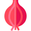 Onion icon 64x64