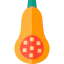 Butternut squash icon 64x64