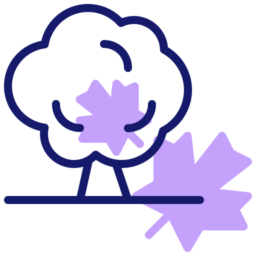 Maple leaf icon