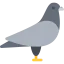 Dove icon 64x64