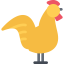 Chicken icon 64x64