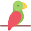 Parrot icon 64x64
