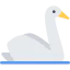 Swan icon 64x64