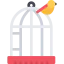 Canary icon 64x64