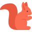 Squirrel icon 64x64