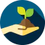 Sprout icon 64x64