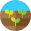 Sprout icon 64x64