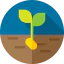 Sprout icon 64x64