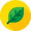 Leaf icon 64x64
