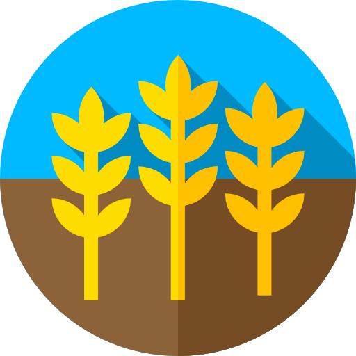 Wheat icon