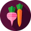 Vegetables icon 64x64