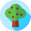 Fruit tree アイコン 64x64