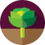 Lettuce icon 64x64