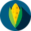Corn icon 64x64
