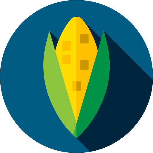 Corn icon
