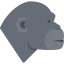 Gorilla Ikona 64x64