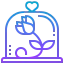 Rose icon 64x64