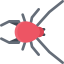 Spider icon 64x64