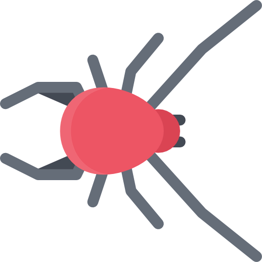 Spider icon