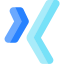 Xing ícone 64x64