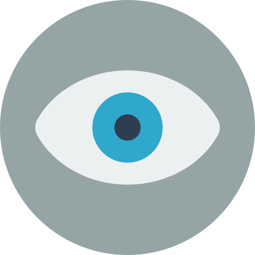Vision icon
