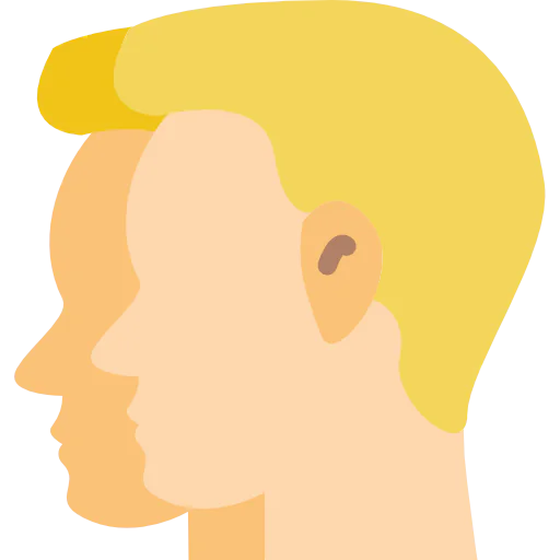 Gemini icon