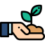 Sprout icon 64x64