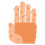 Smallpox ícono 64x64