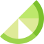 Lemon slice icon 64x64