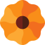 Cookie icon 64x64