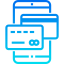 Online payment icône 64x64
